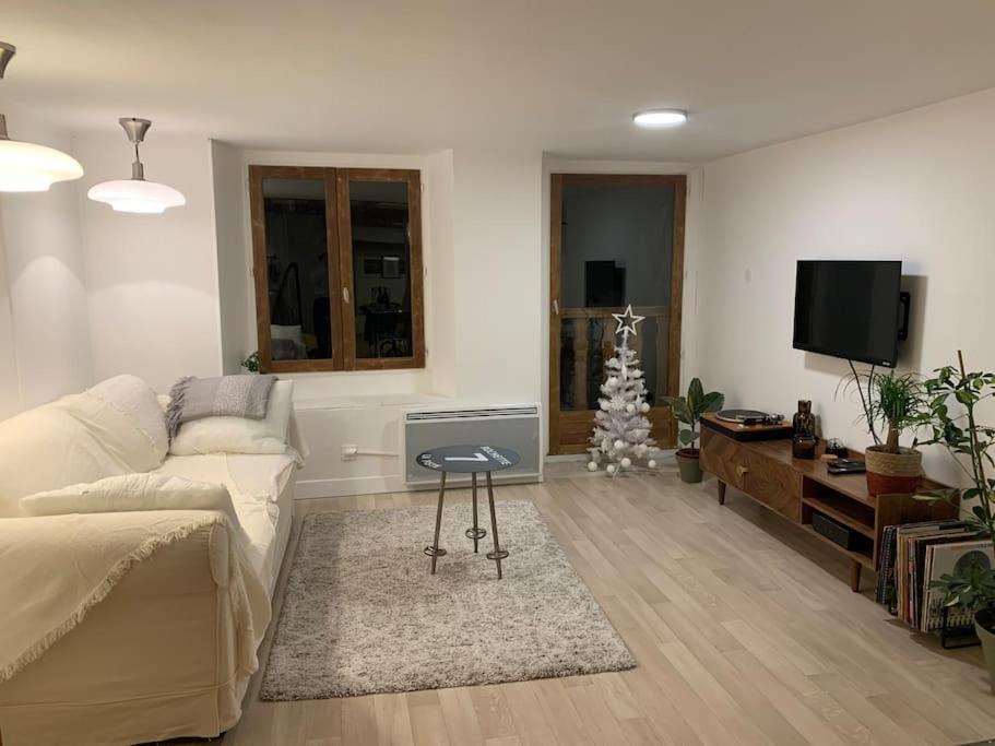 Au Coeur De La Veille Ville D'Annecy Exteriör bild